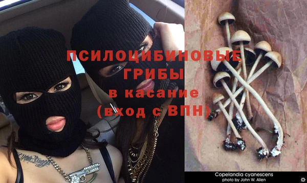 герыч Алексеевка